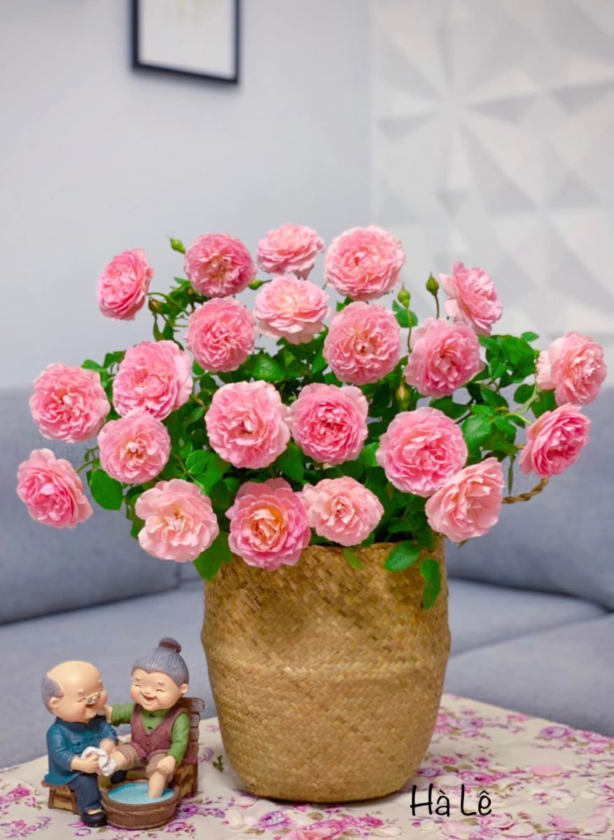 Tử vi ngày 29/9/2022 của 12 cung hoàng đạo